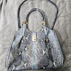 Brahmin elisa seville